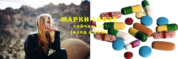 ешки Алексин