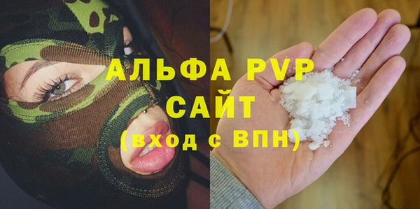 прущие грибы Алзамай