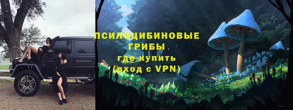 прущие грибы Алзамай