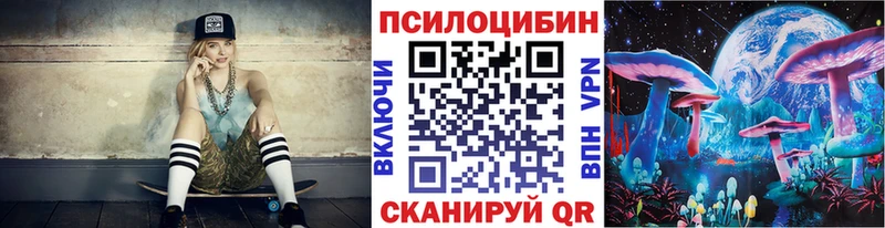 Псилоцибиновые грибы Cubensis  Абакан 