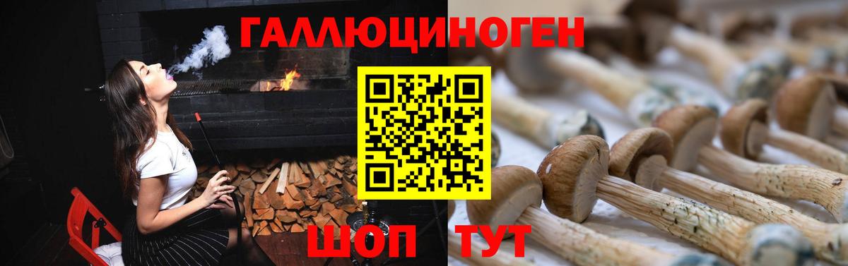 Галлюциногенные грибы мухоморы Абакан